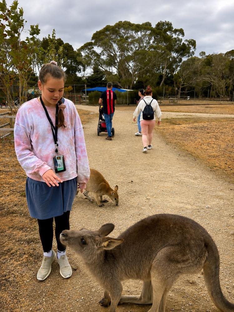 A participant feeding kangaroos at a wildlife park.